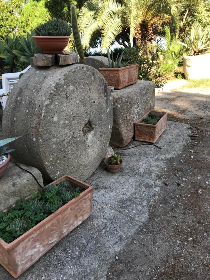 A Casa Di Peppino Villa Greco Тиндари Екстериор снимка