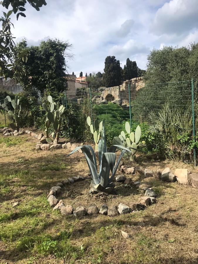 A Casa Di Peppino Villa Greco Тиндари Екстериор снимка