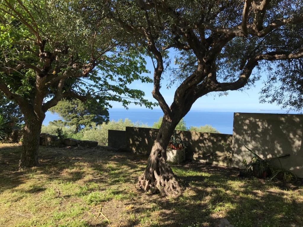 A Casa Di Peppino Villa Greco Тиндари Екстериор снимка